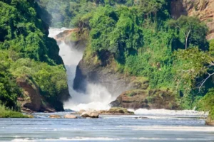 Murchison Falls National park Murchison Falls National park