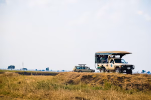 9 days Tanzania North circuit 9 days Tanzania North circuit